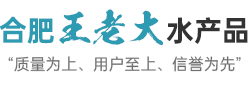 合肥王老大水產品有限公司
